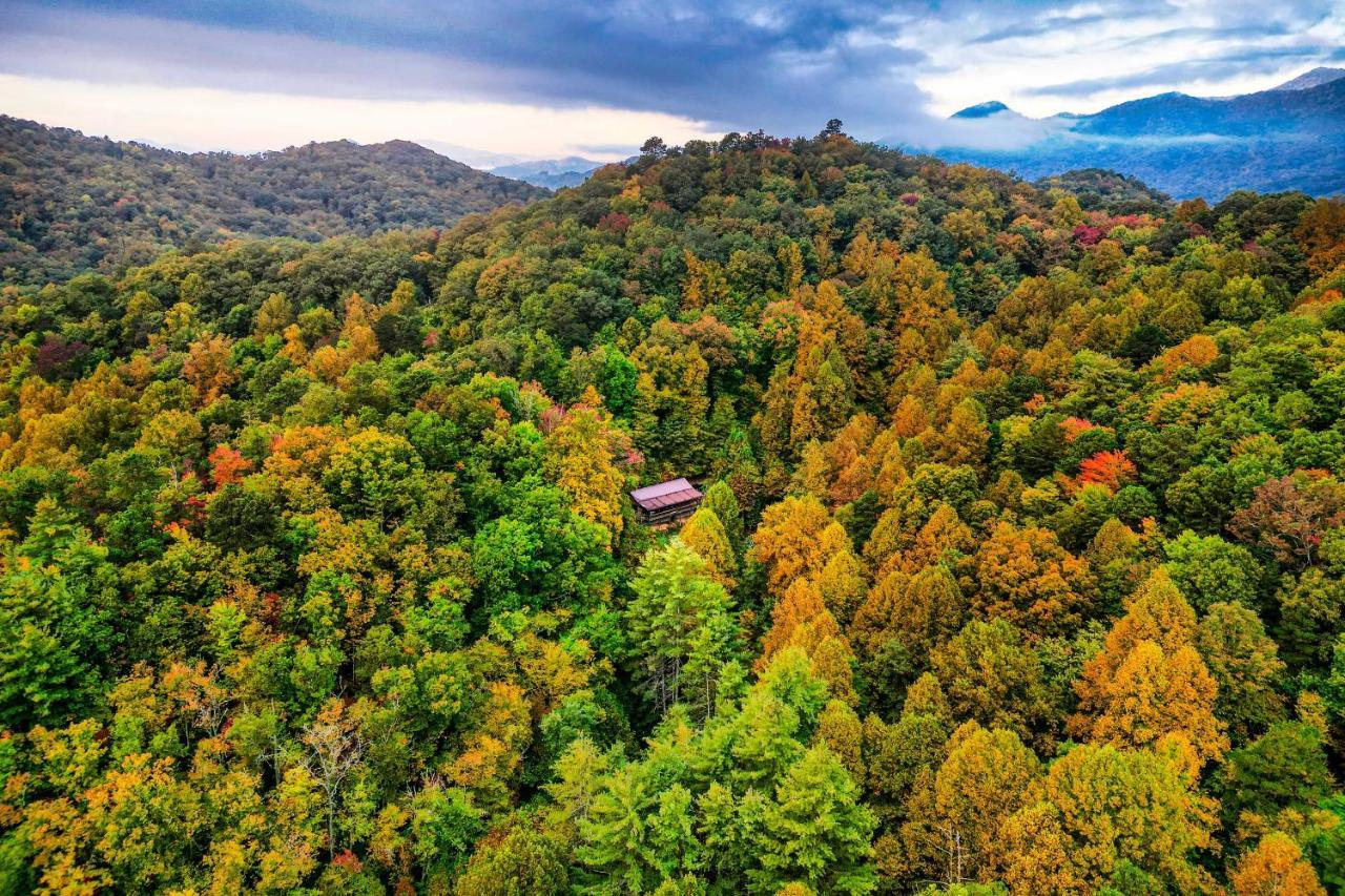 ブライソン・シティ Brysons Hidden Valley Ranch - Quiet Nc Cabin!ヴィラ エクステリア 写真